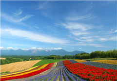 北海道