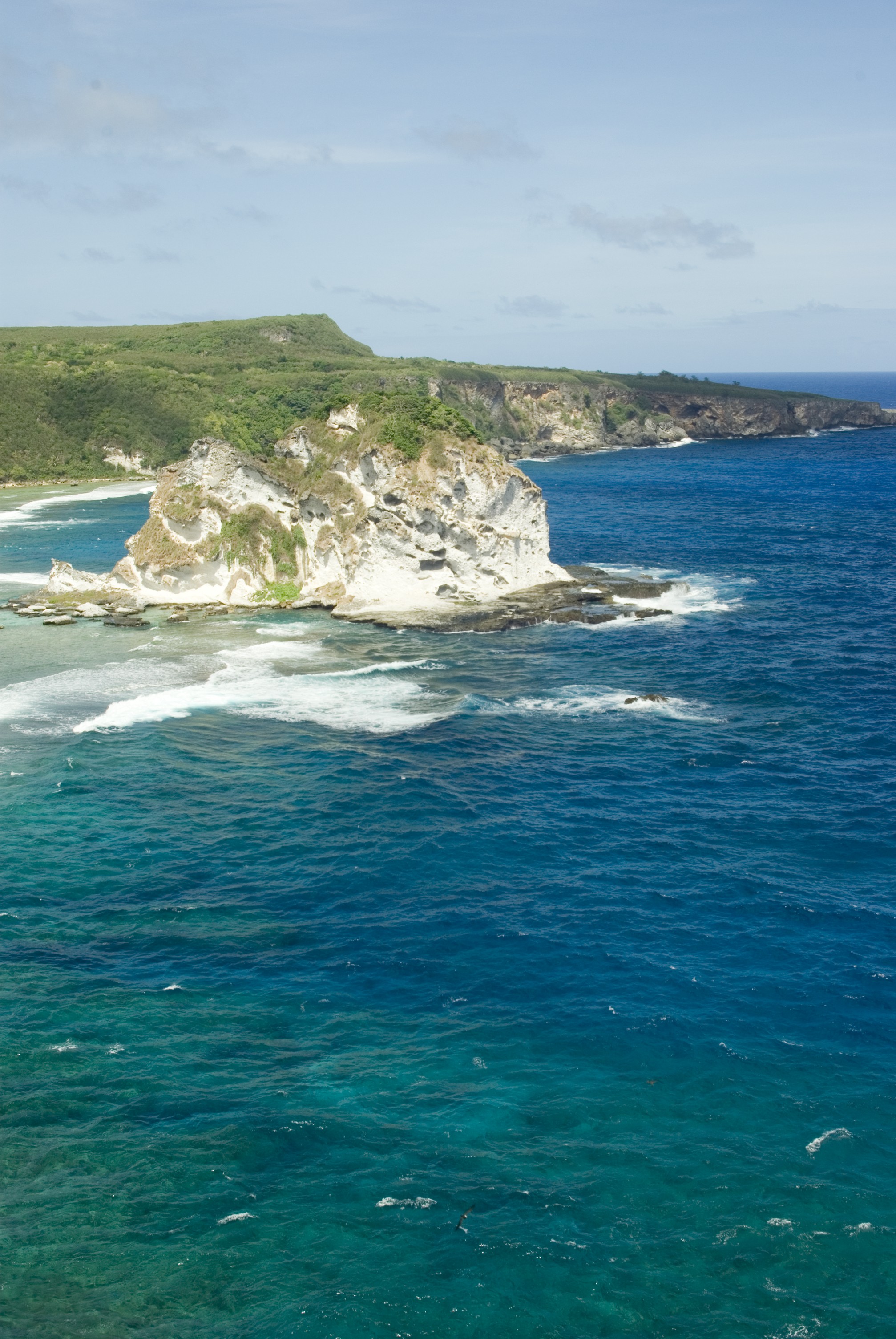Bird Island2.jpg