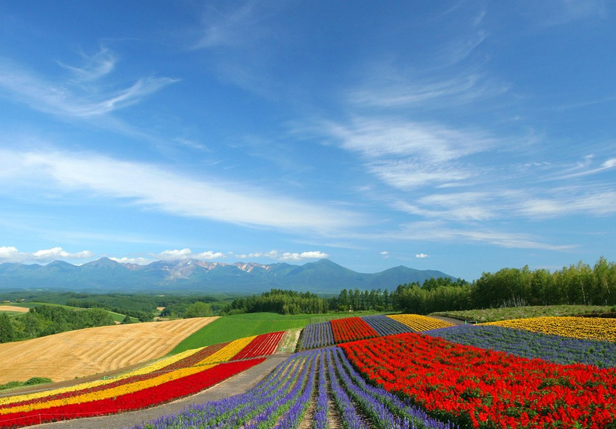 北海道